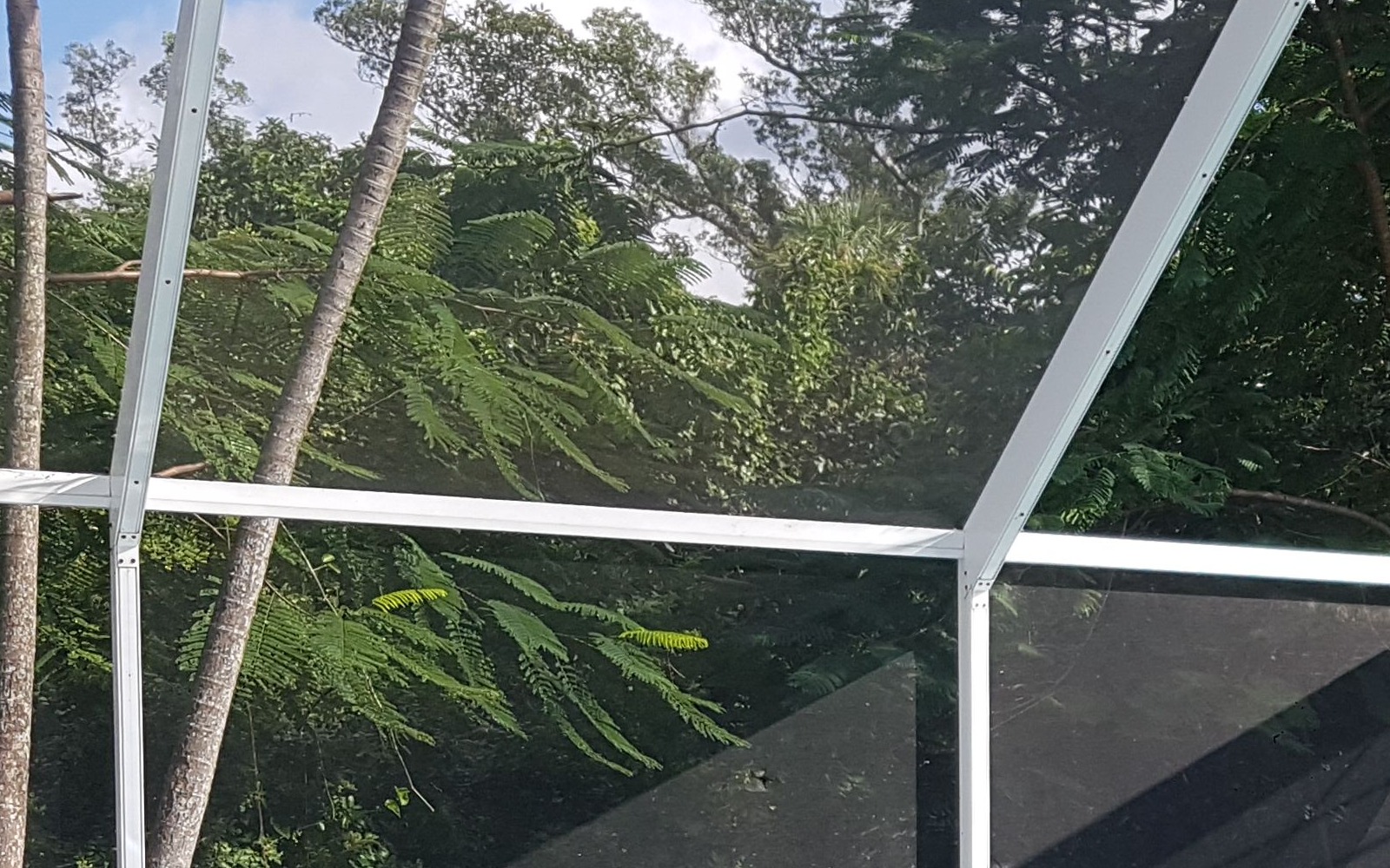 Clean pool cage screen mesh with greenery beyond
