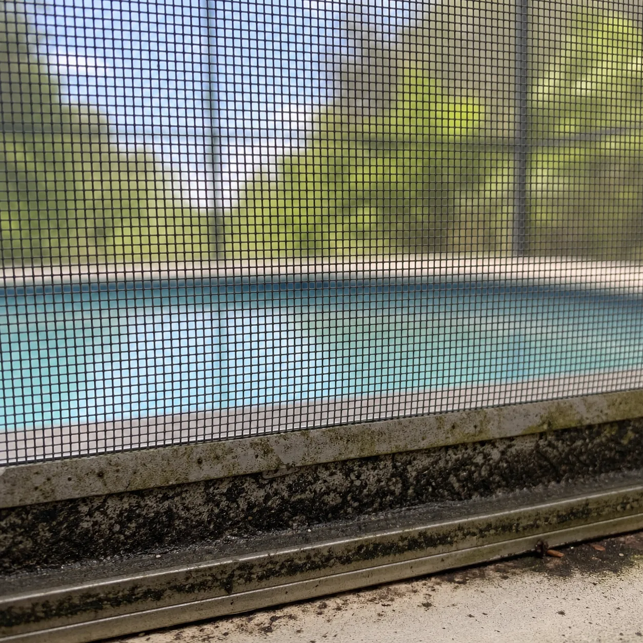 Organic buildup on an intact aluminum pool enclosure frame and screen track
